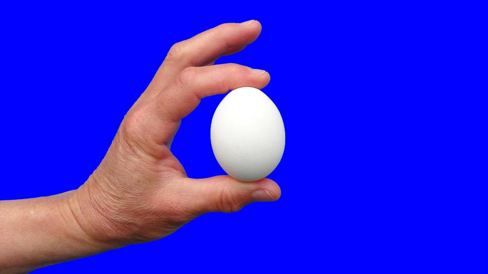 a white egg in a man's hand on a blue background