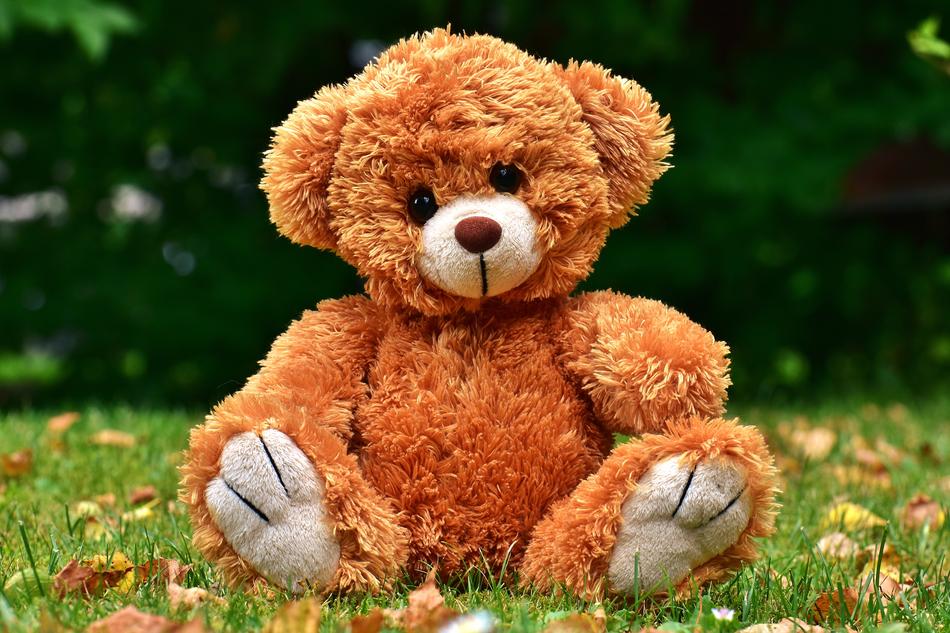 Teddy Cute Soft Toy