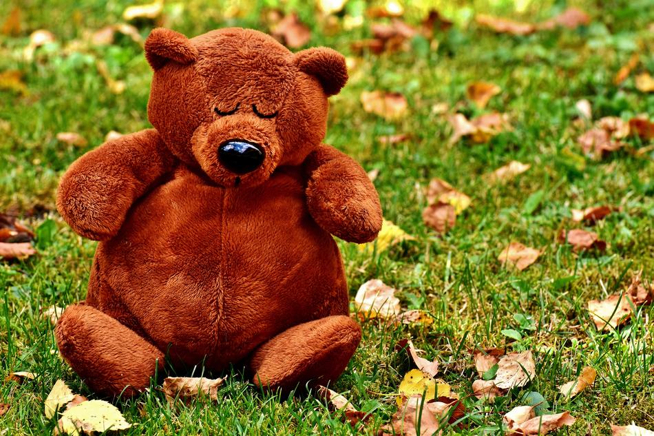 Teddy Cute Sleep Soft