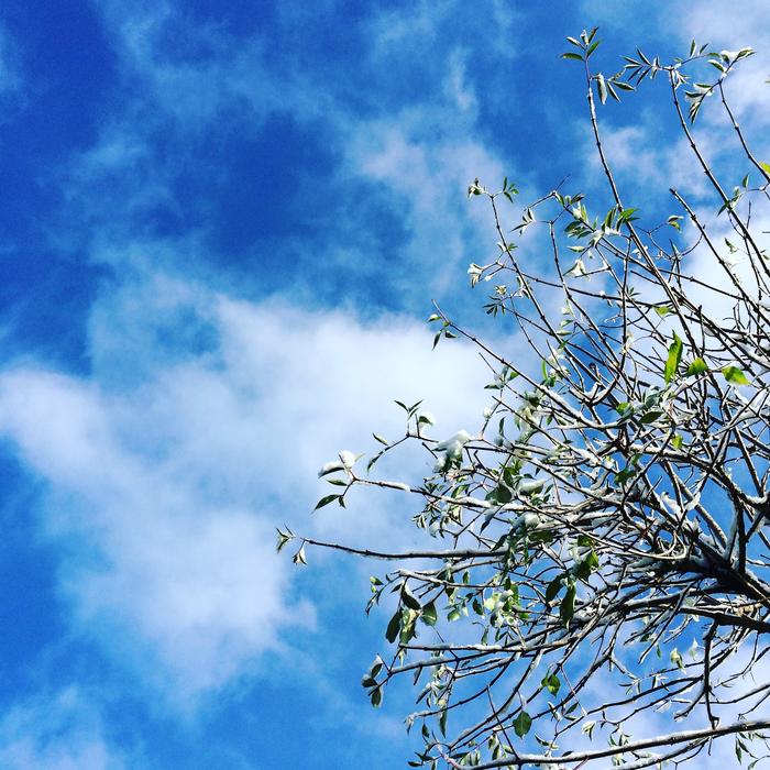 clouds in the blue glorious sky