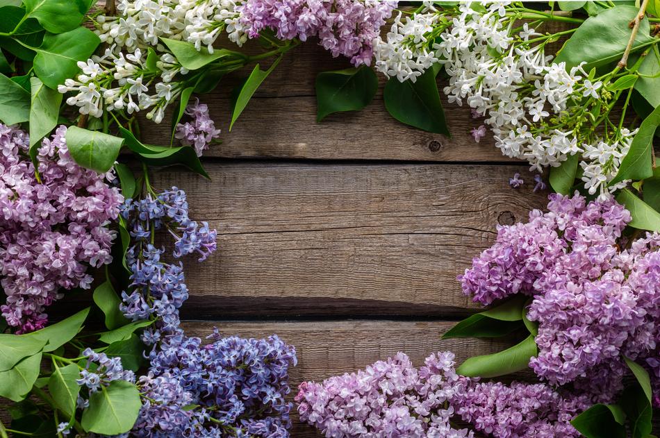 Flowers Postcard Purple