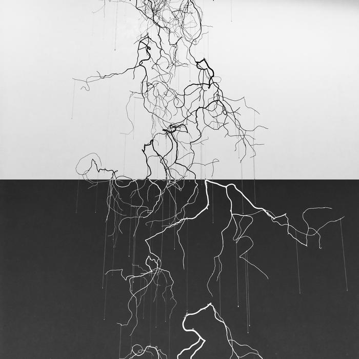 art branches earth wall drawing