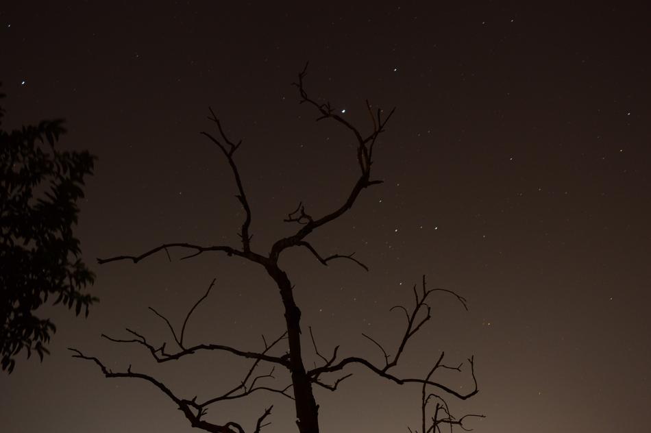 Night Sky Dry