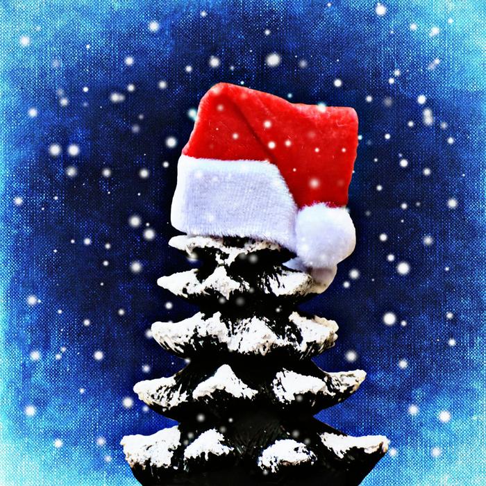 Christmas Firs Snow