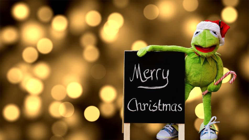Kermit Frog Christmas Santa