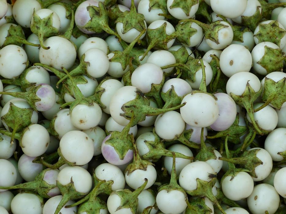 Fruit Tropics Exotic