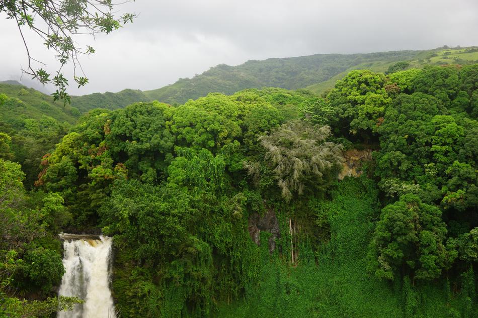 Hawaii Maui Waterfall
