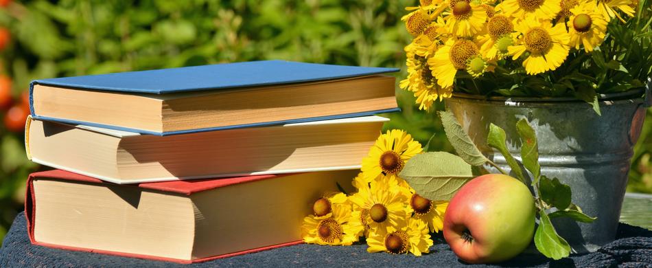 Books Read Garden Sun