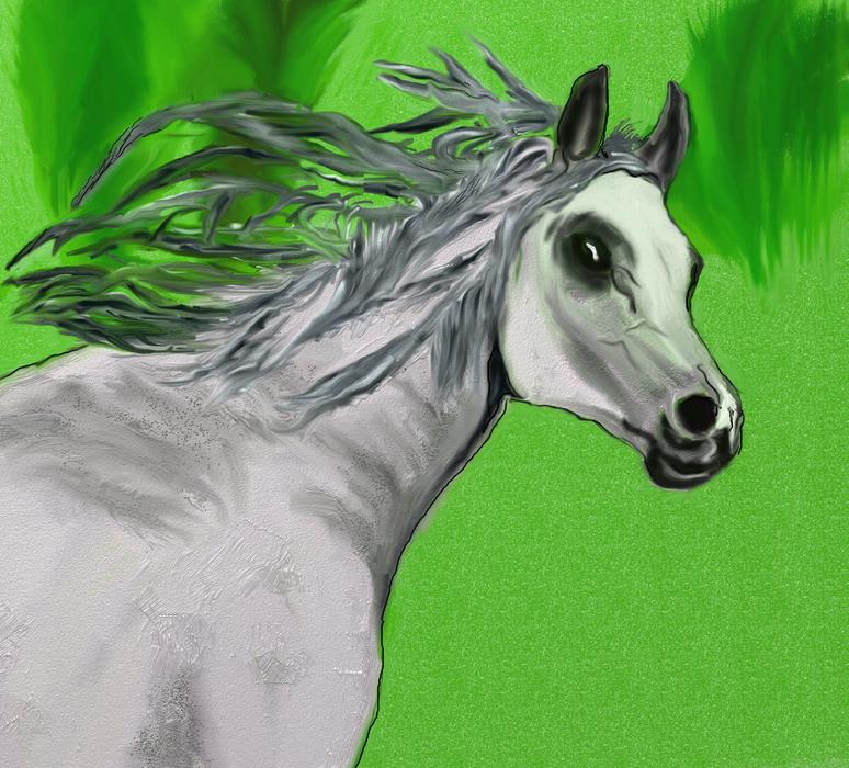 magic horse drawing