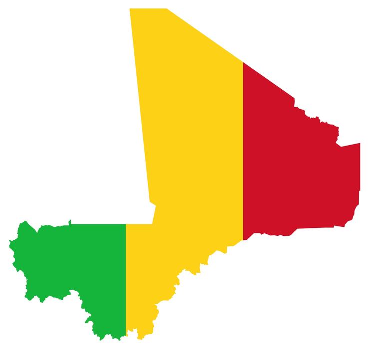 Mali flag in the drawing