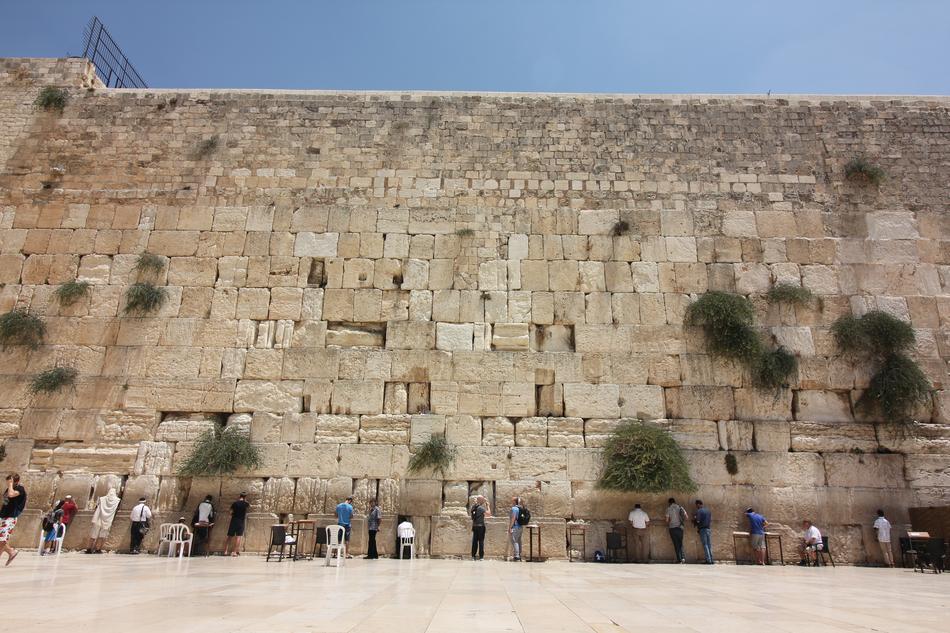 stone wall with plants and people