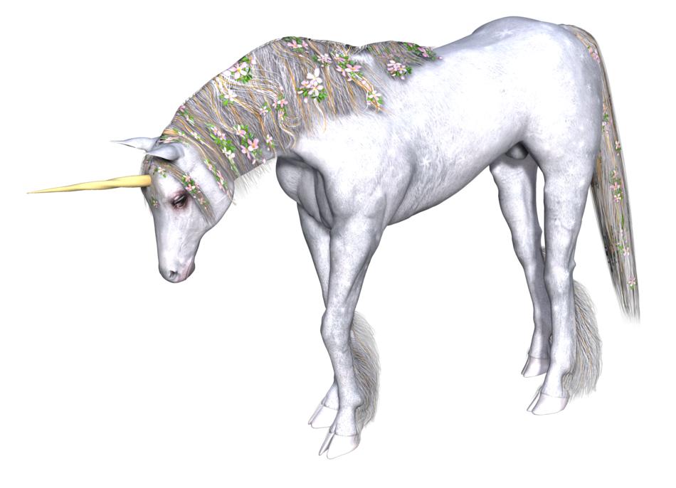 unicorn fantasy fairy tale white