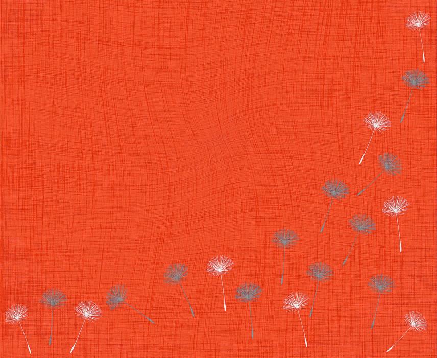 dandelion seeds on orange background