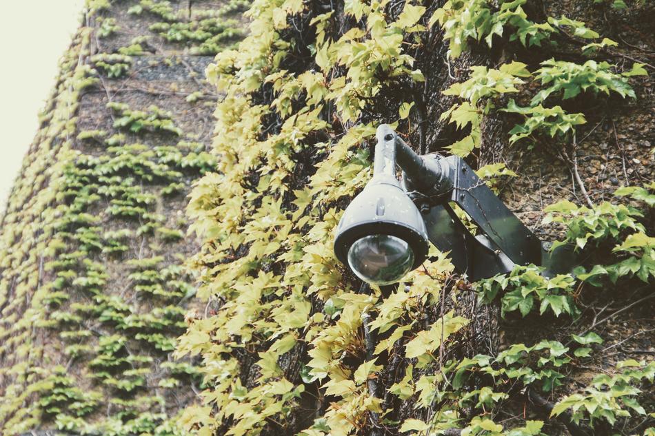 London Monitoring Camera