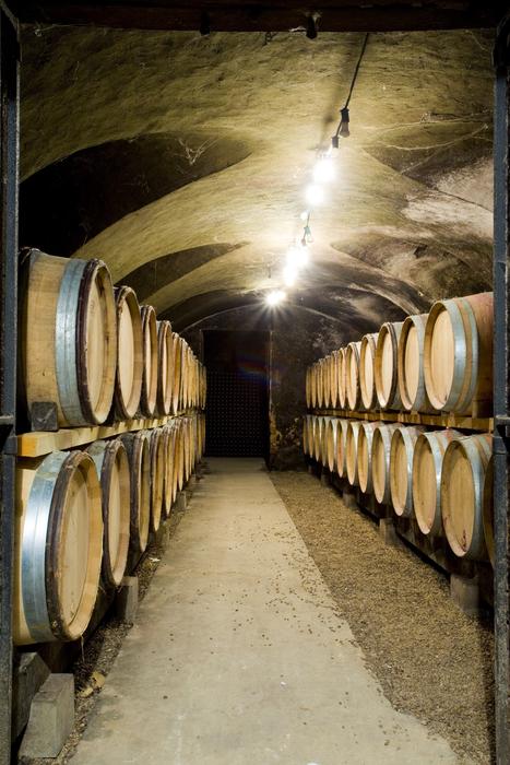 Cellar Wine Botti