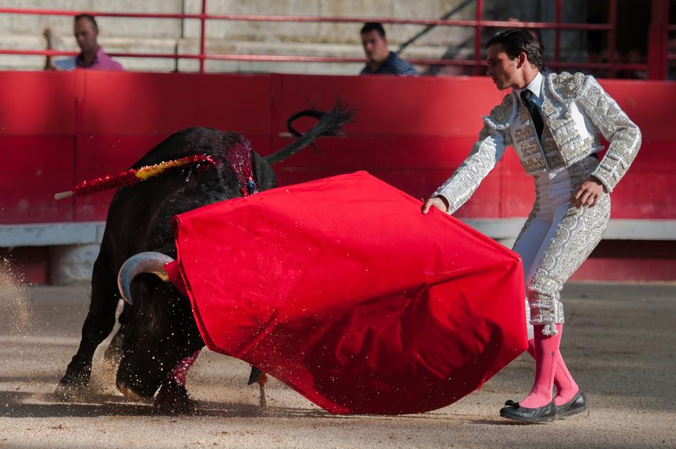 the man with the bull and the red flag