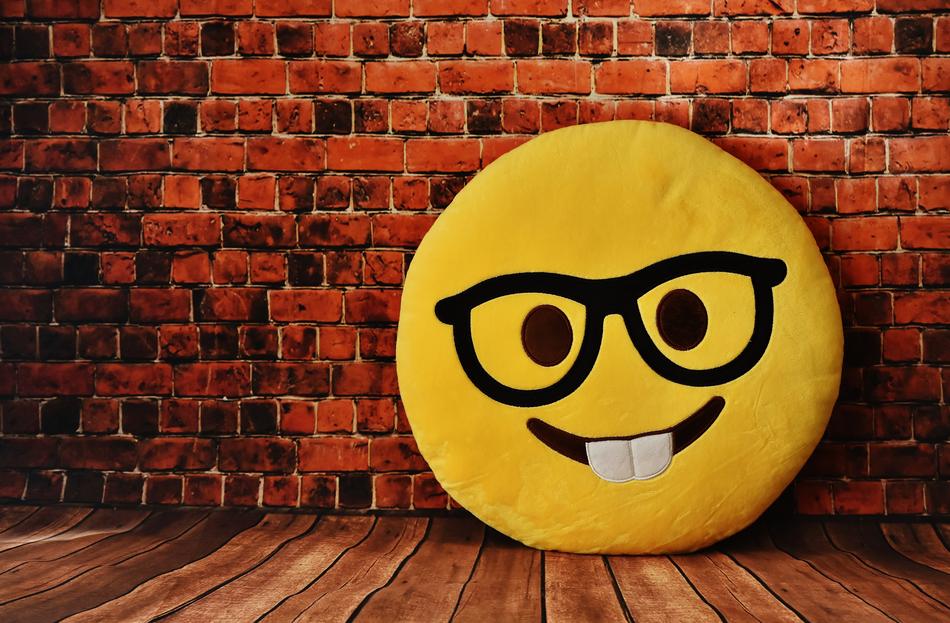 funny pillow on the wall