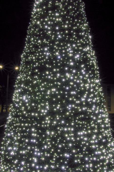 Christmas Tree The Lights
