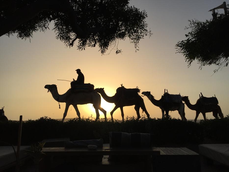 Newsletter Desert Morocco