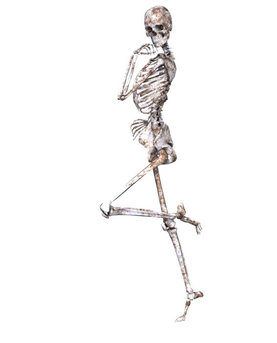 skeleton pose skull bones 3d
