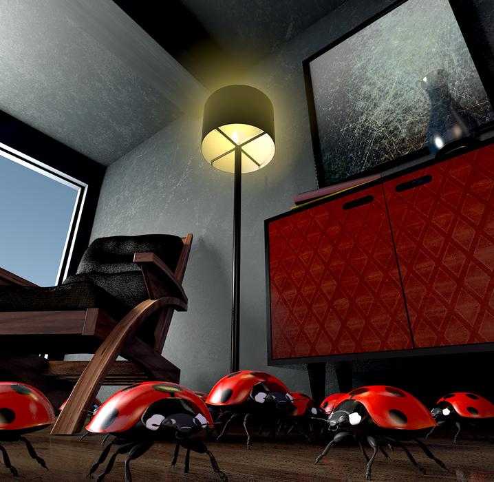 ladybugs in the interior of a modern room
