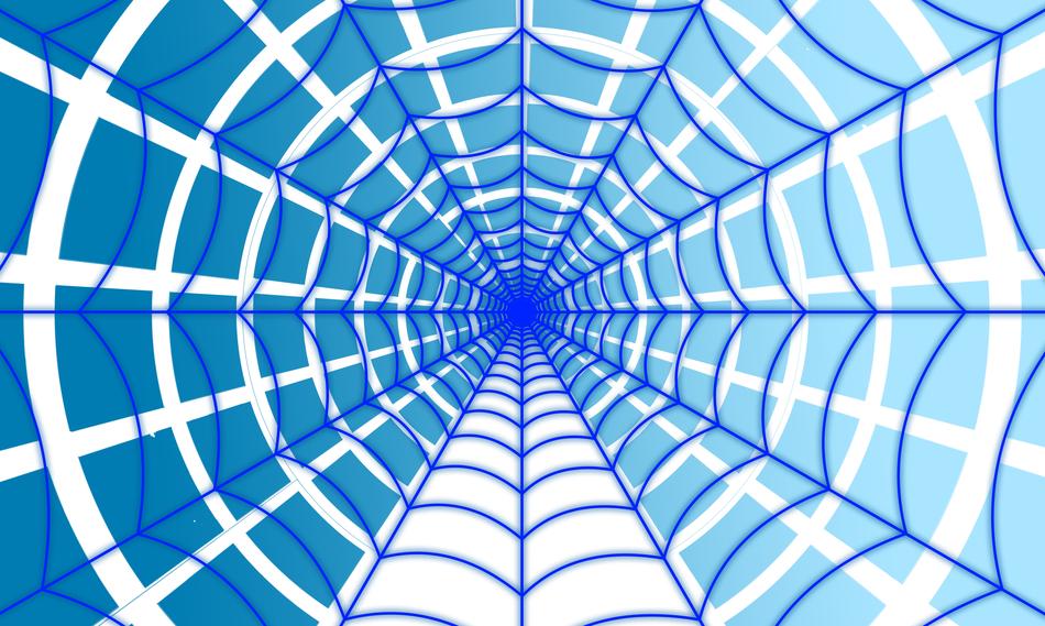 cobweb web network points lines