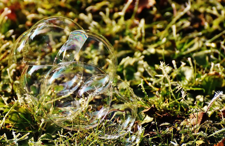 Soap Bubble Colorful Meadow