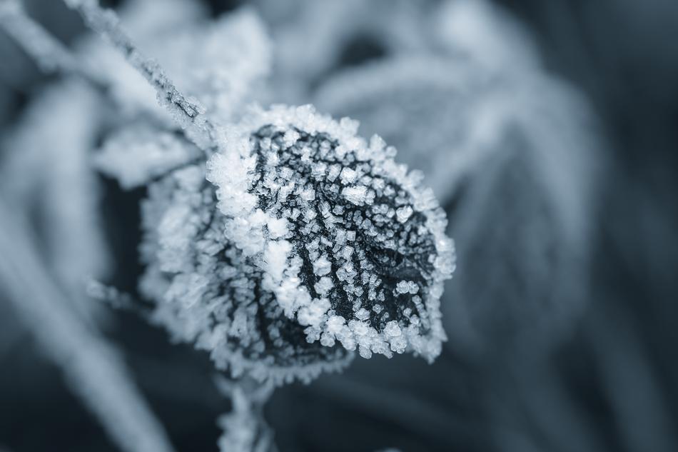 Ice Eiskristalle Winter