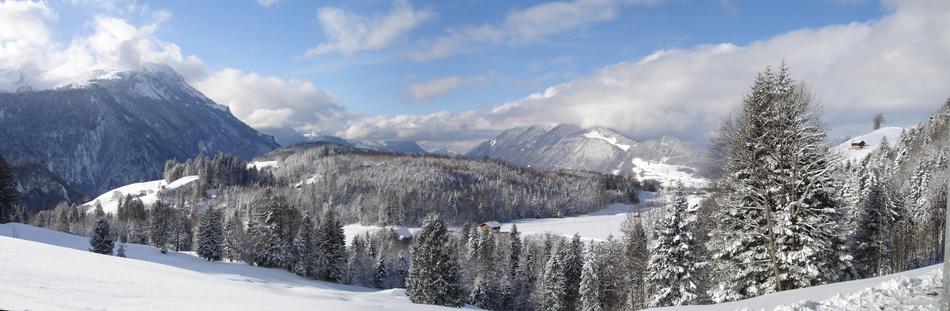 Winter Wintry Panorama