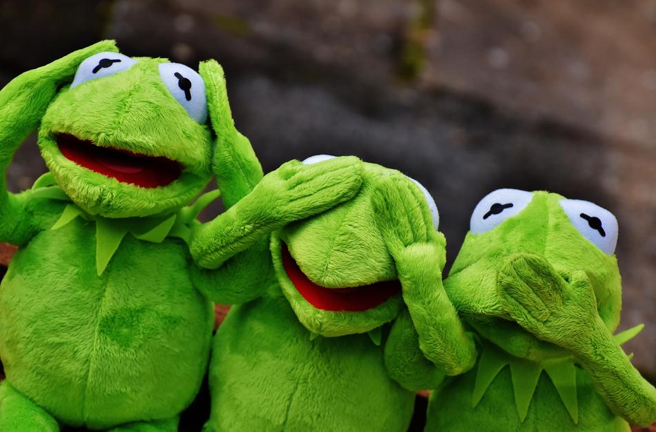funny frog toys
