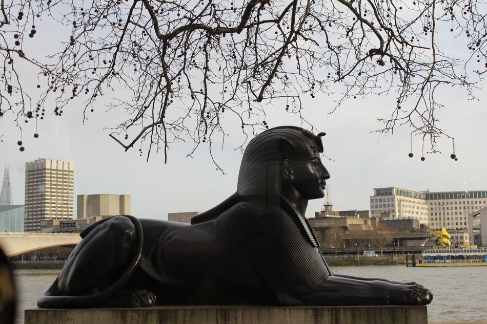 Sphinx London Al