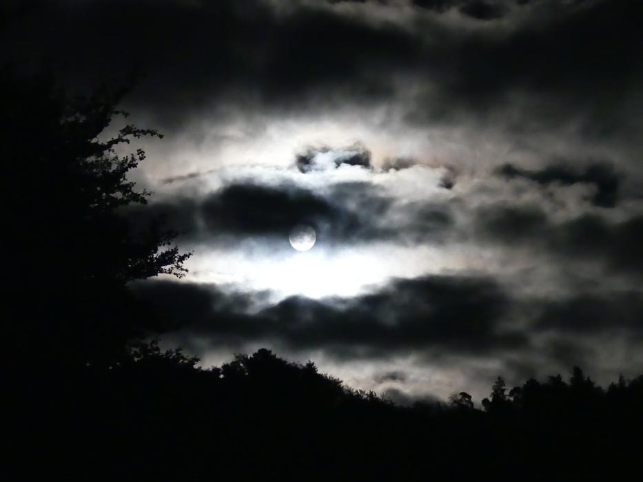 night landscape of the big moon