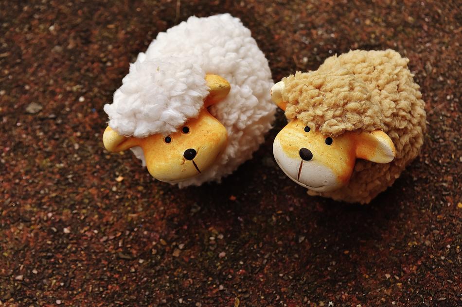 Sheep Animals Deco