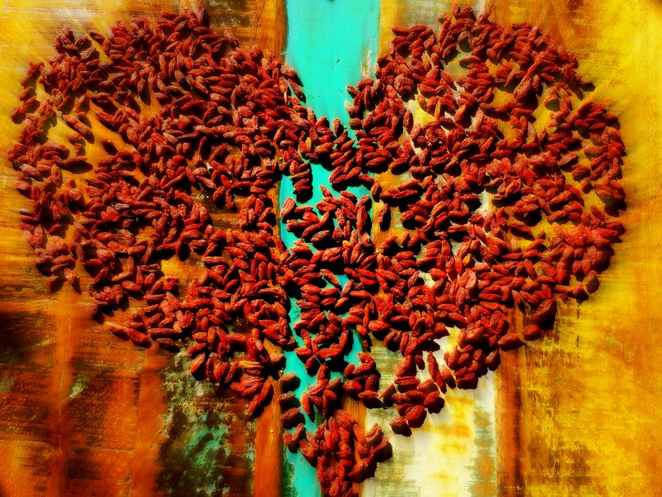 Heart red landscape view