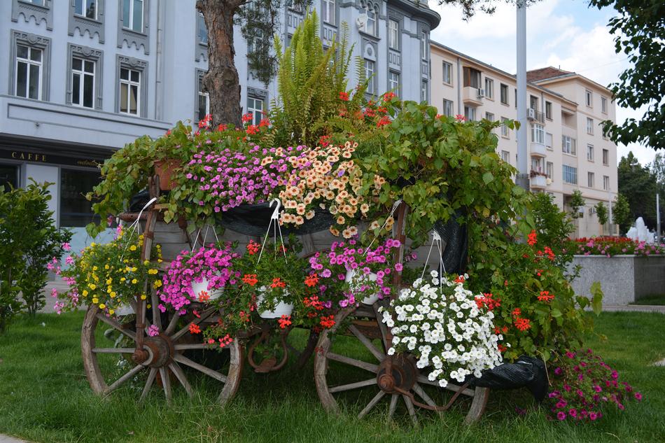 Flowers Arrangement Wheel