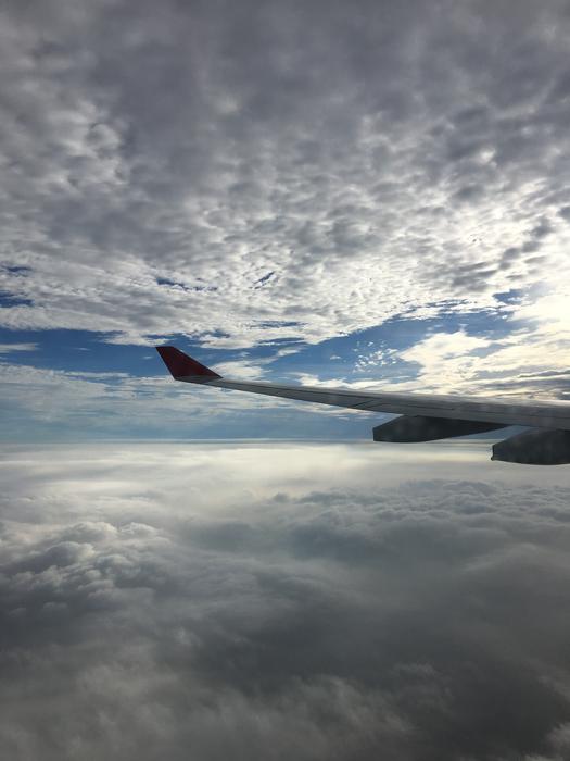 Flight Wings Clouds