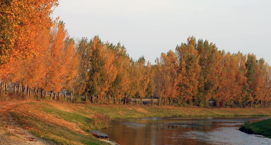 beautiful fall landscape