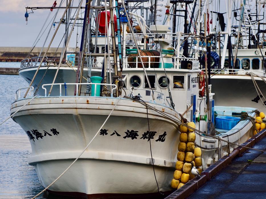 Fishing Boat Port