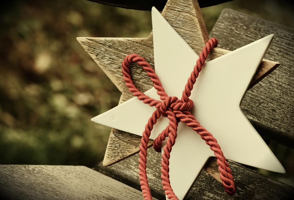 Poinsettia Star Christmas