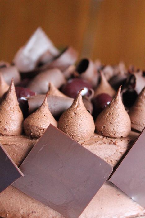 Chocolate Pastry Dessert