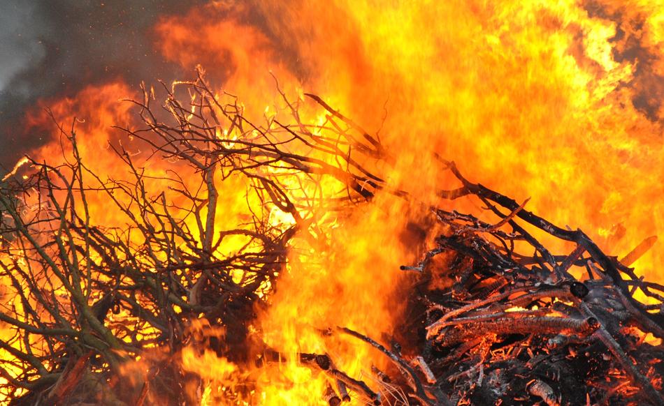 Fire Bonfire Flame