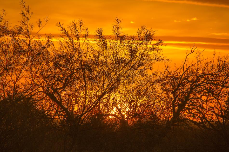 Morning Sun Åmosen Sunrise Orange