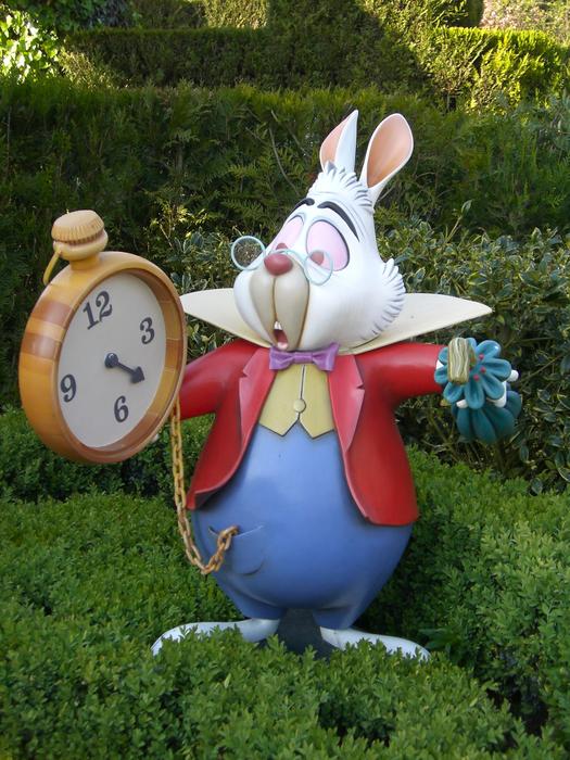 Time Too Late Disneyland
