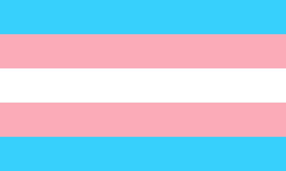 trans transgender flag pride