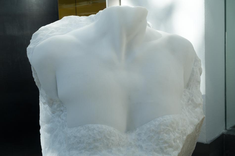 sculpture bust white