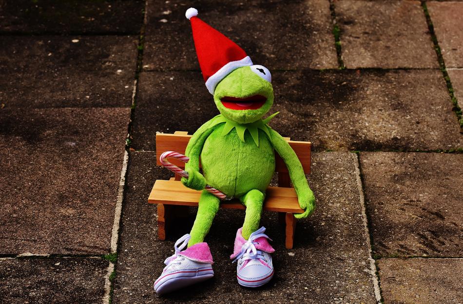 toad on the bench