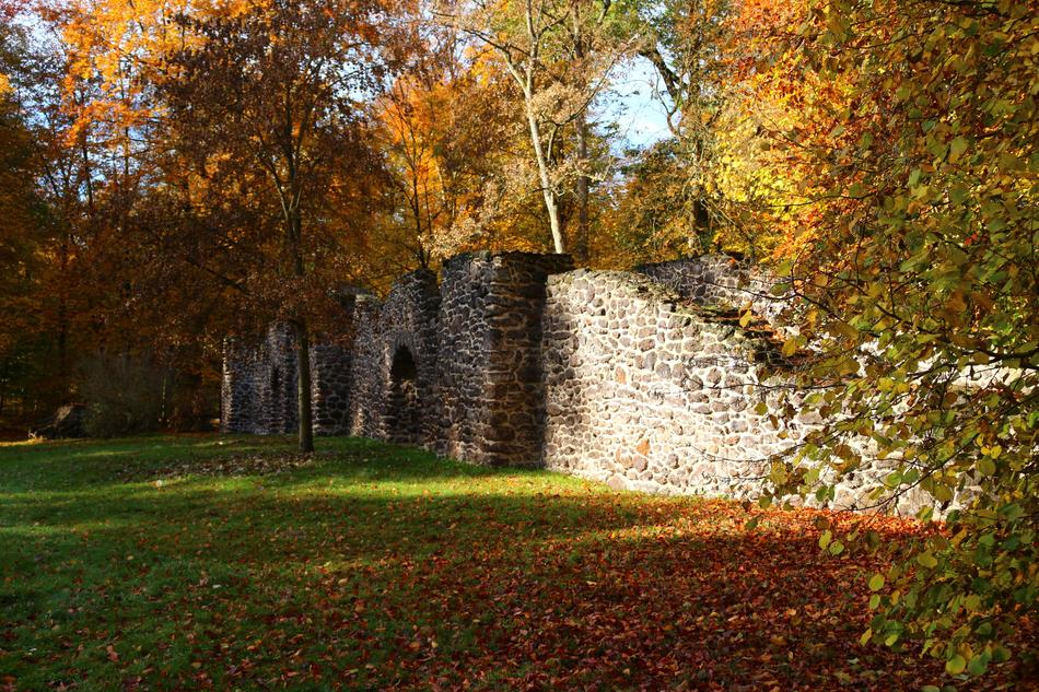 Ruin Stone Wall Autumn Fall