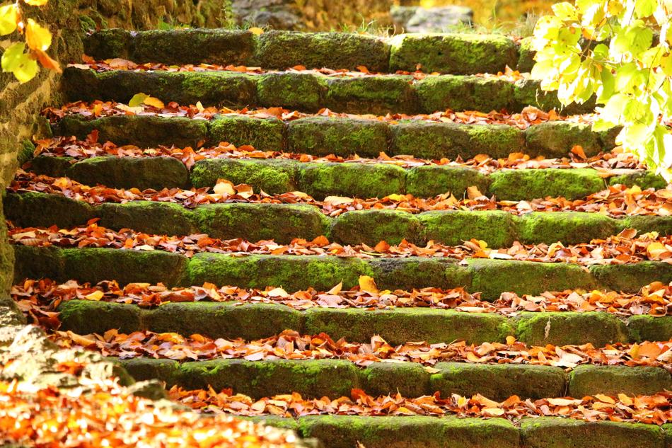 Autumn Stairs Fall Foliage Stair