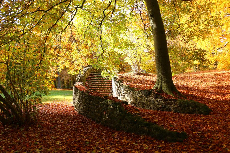 Autumn Ruin Stairs Fall