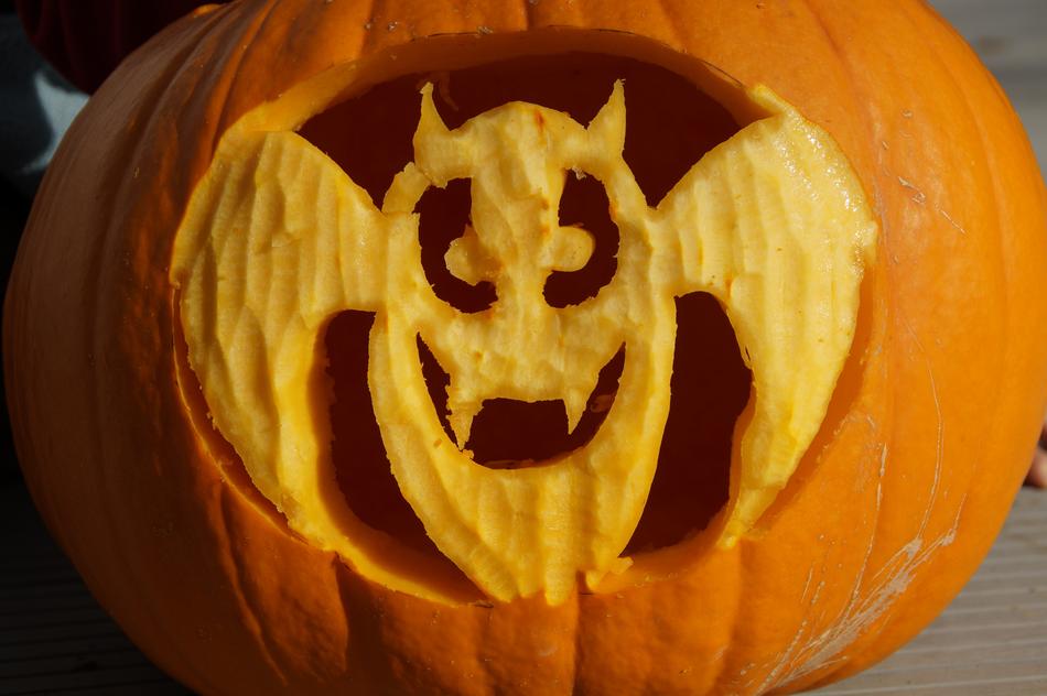 landscape pumpkin
